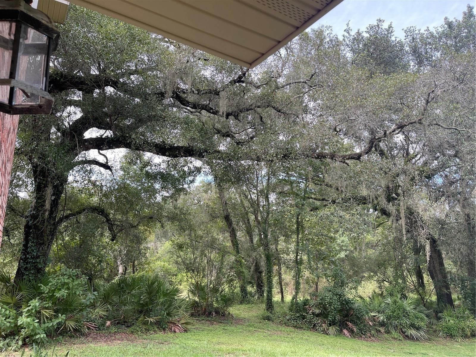 Single Family Residence at 5422 CYRIL DR, DADE CITY, photo 96 of 101