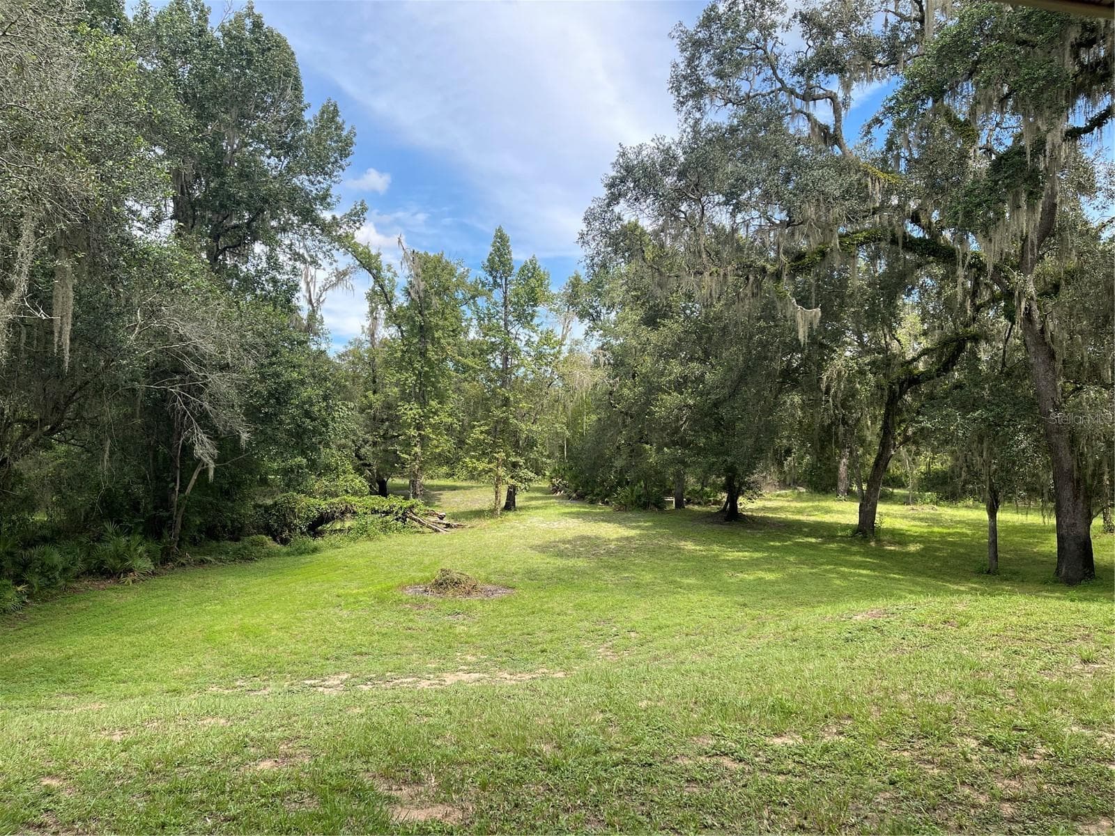 Back yard facing river. - 5422 CYRIL DR, DADE CITY