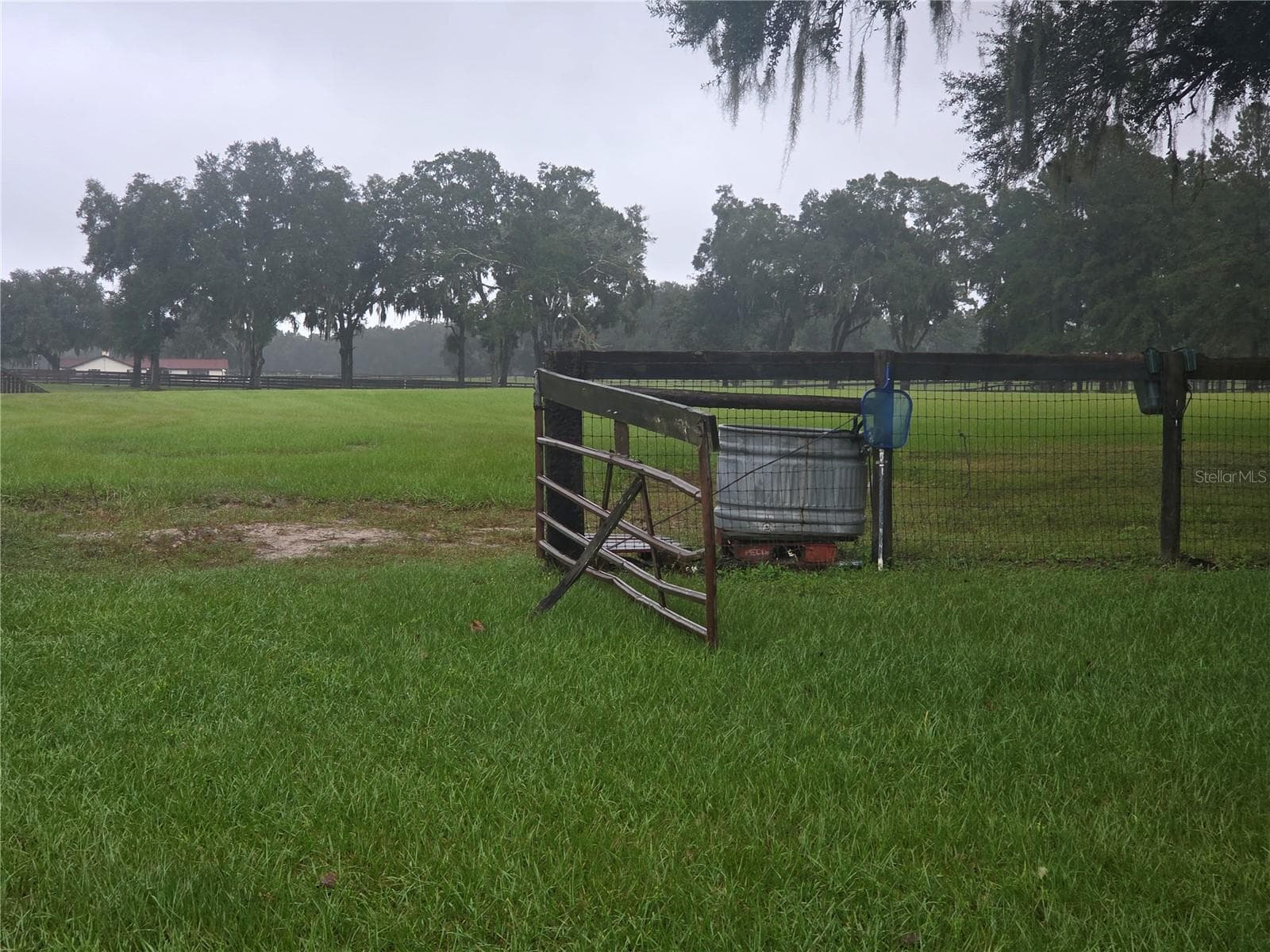 Pasture entrance facing North - 950 W HIGHWAY 316, CITRA