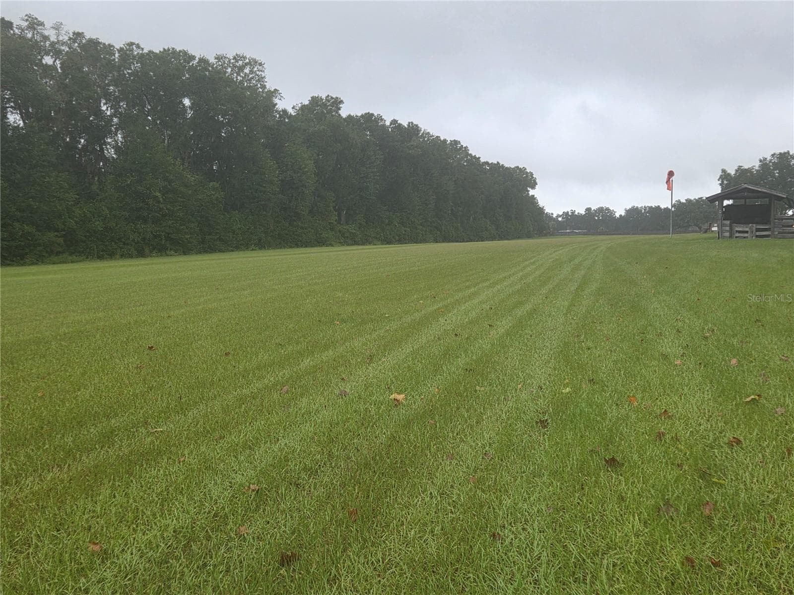 2500 ft grass runway facing North - 950 W HIGHWAY 316, CITRA