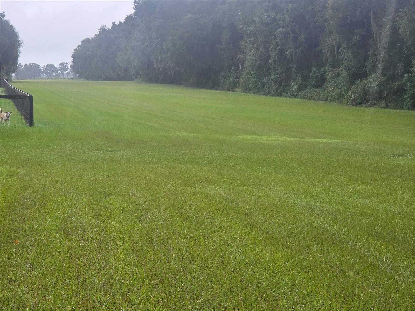2500 ft Runway facing South - 950 W HIGHWAY 316, CITRA