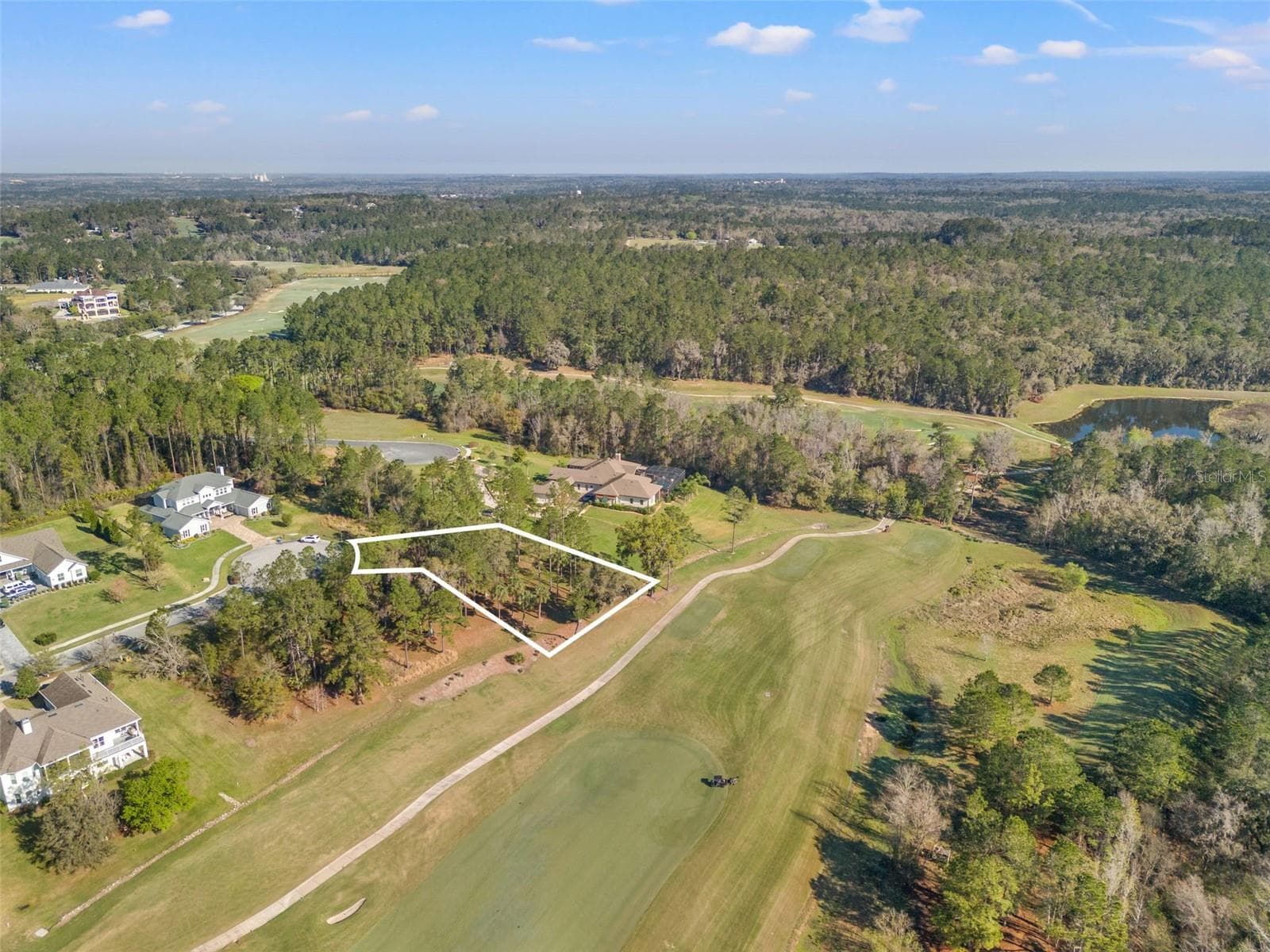 Land at 20132 ENGLISH WALNUT PL, BROOKSVILLE, photo 4 of 22