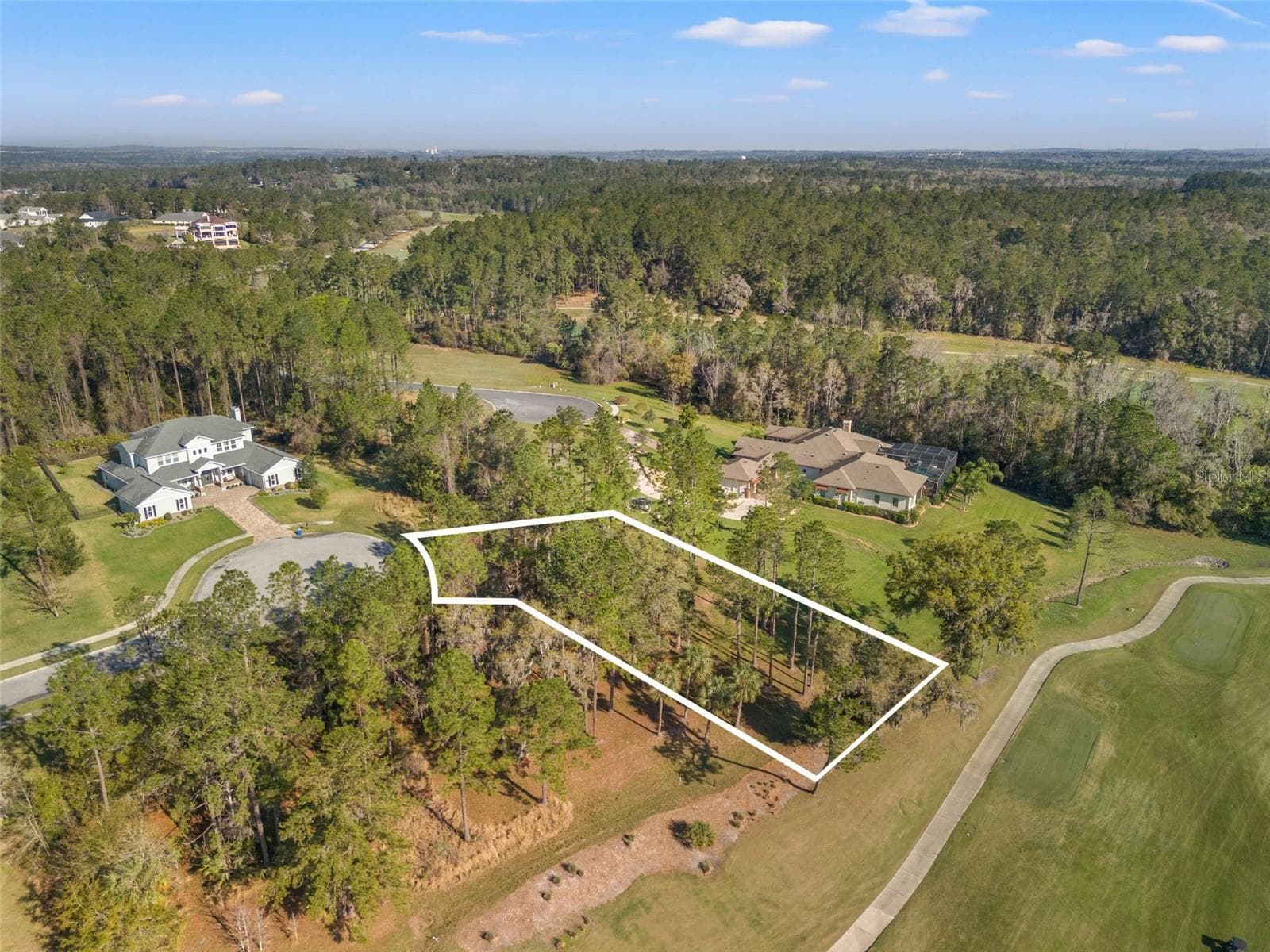 Land at 20132 ENGLISH WALNUT PL, BROOKSVILLE, photo 8 of 22