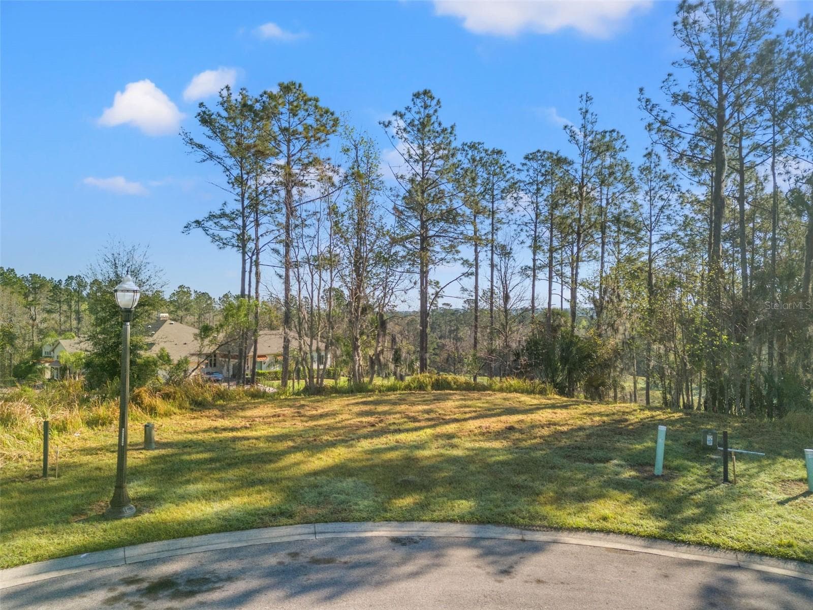 Land at 20132 ENGLISH WALNUT PL, BROOKSVILLE, photo 9 of 22