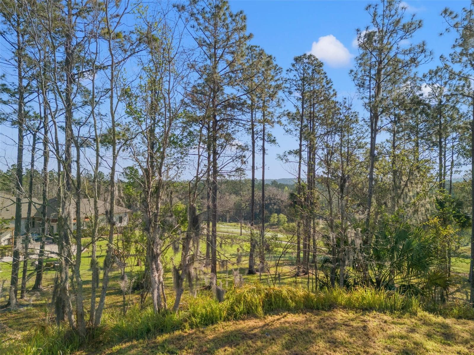 Land at 20132 ENGLISH WALNUT PL, BROOKSVILLE, photo 10 of 22