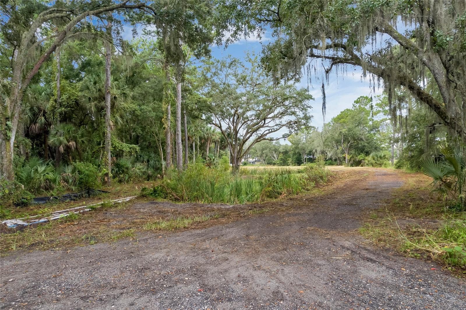 Land at 1630 MURPHY ST, OVIEDO, photo 3 of 20