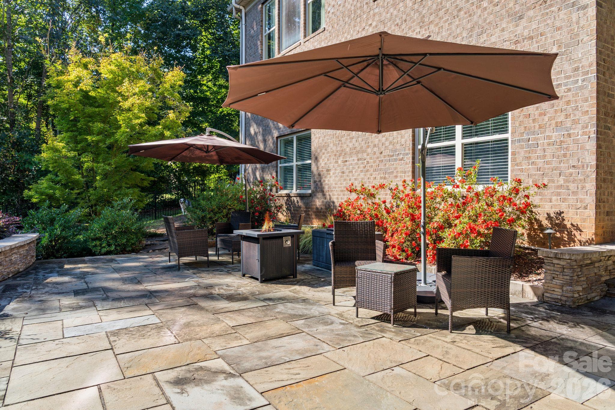 Rear Patio - 287 Walking Horse Trail, Davidson