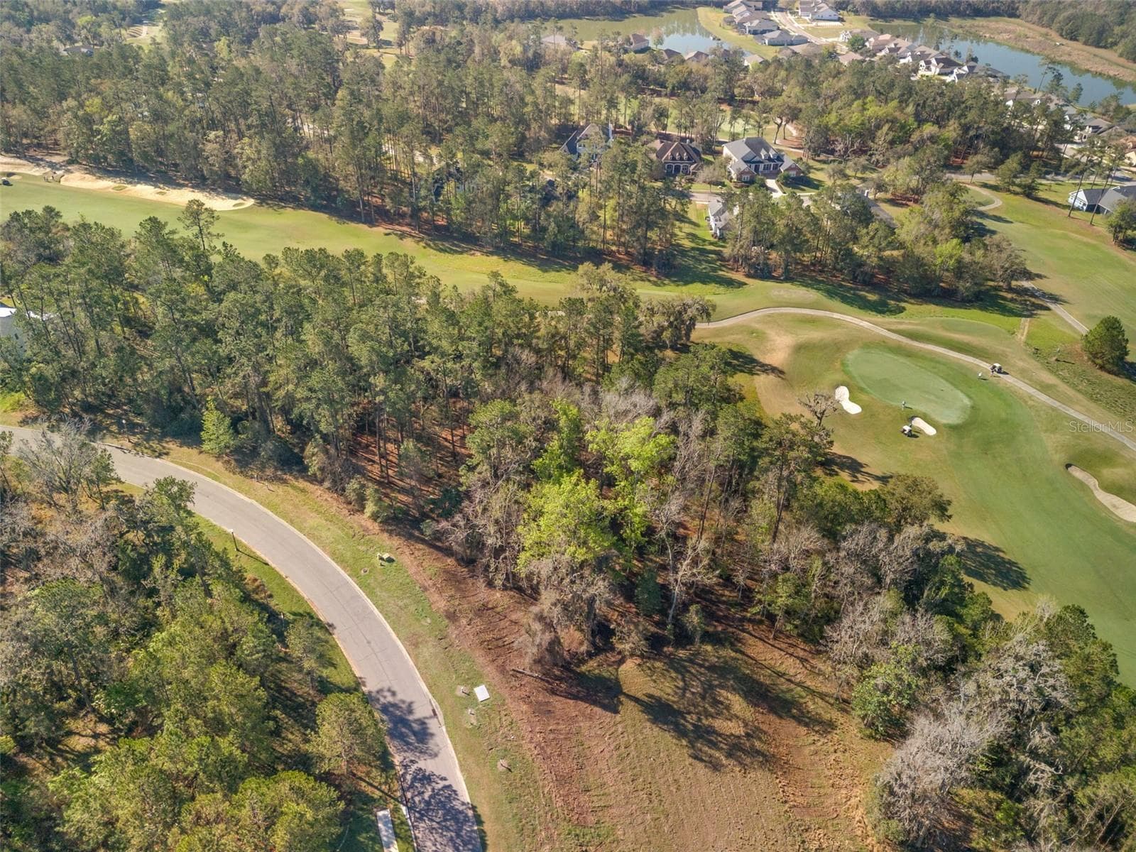 Land at 5963 CREEK RIDGE RD, BROOKSVILLE, photo 9 of 16