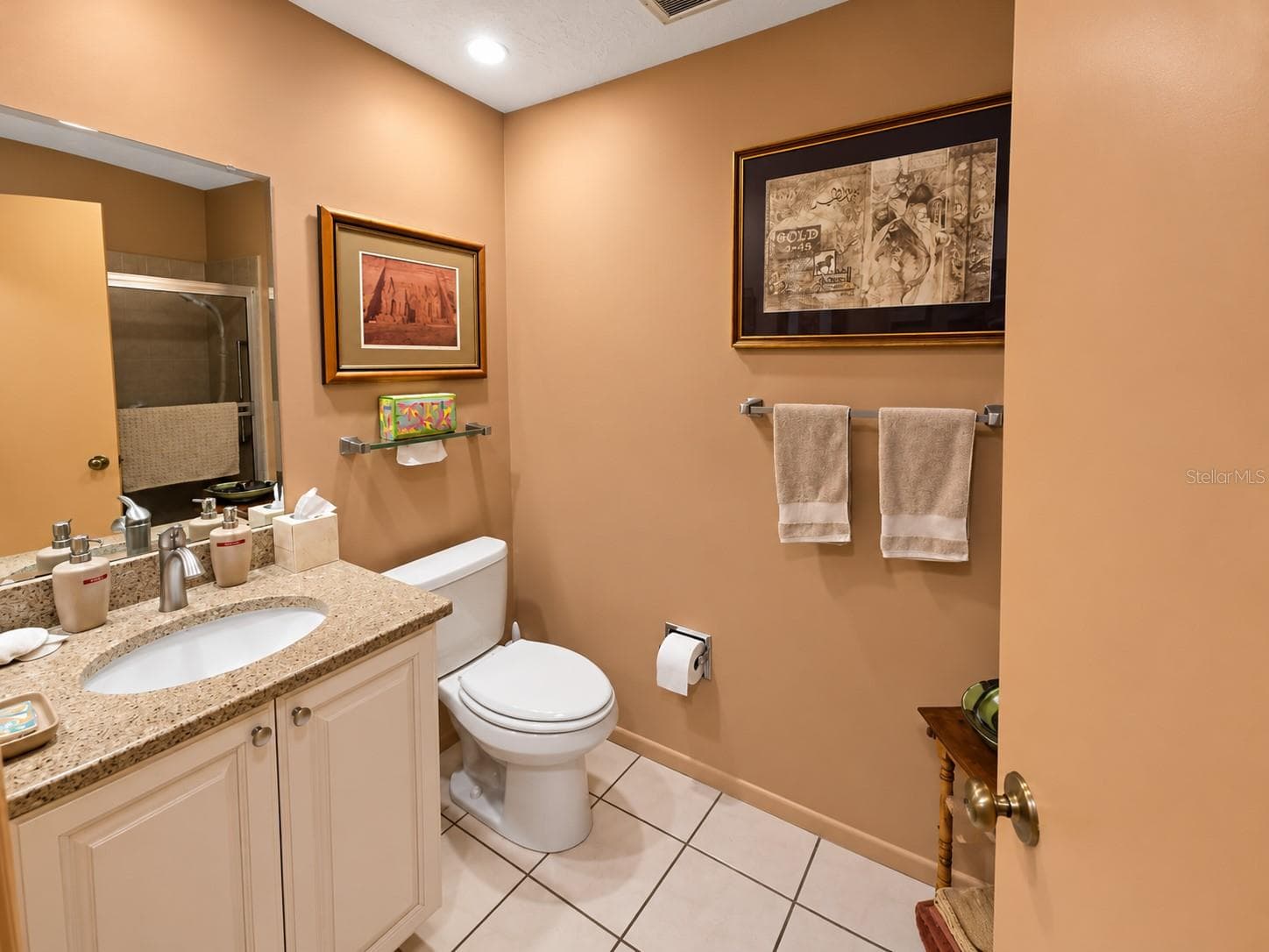 Guest bath - 3706 SUN EAGLE LN, BRADENTON