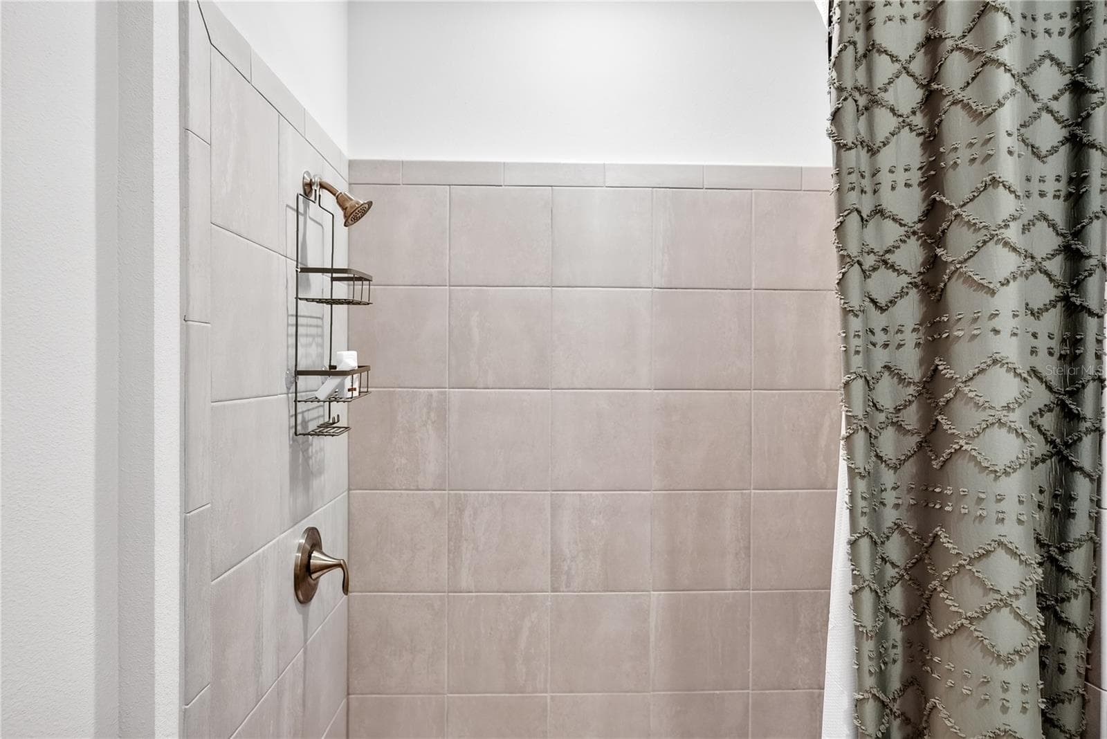 Downstairs shower - 18009 TAVERNSIDE TRL, LAKEWOOD RANCH