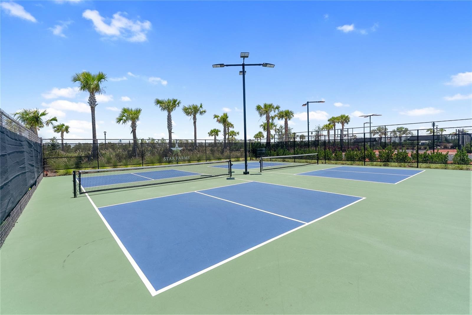 Pickleball courts - 18009 TAVERNSIDE TRL, LAKEWOOD RANCH