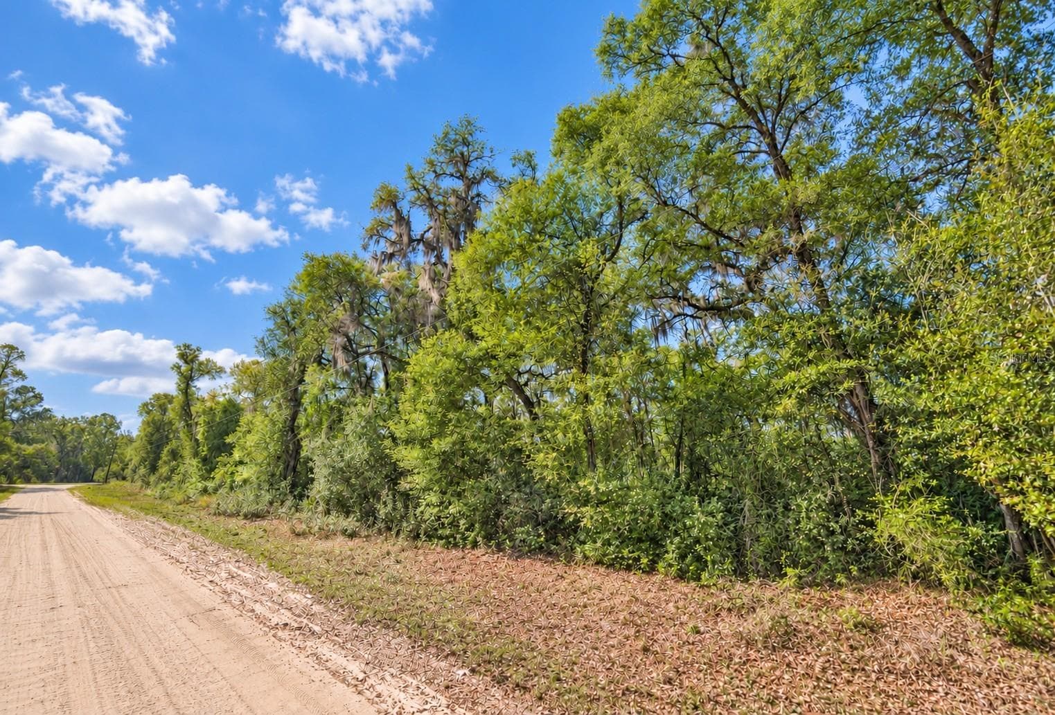 Land at 147 FISHERMANS DR, INTERLACHEN, photo 2 of 5