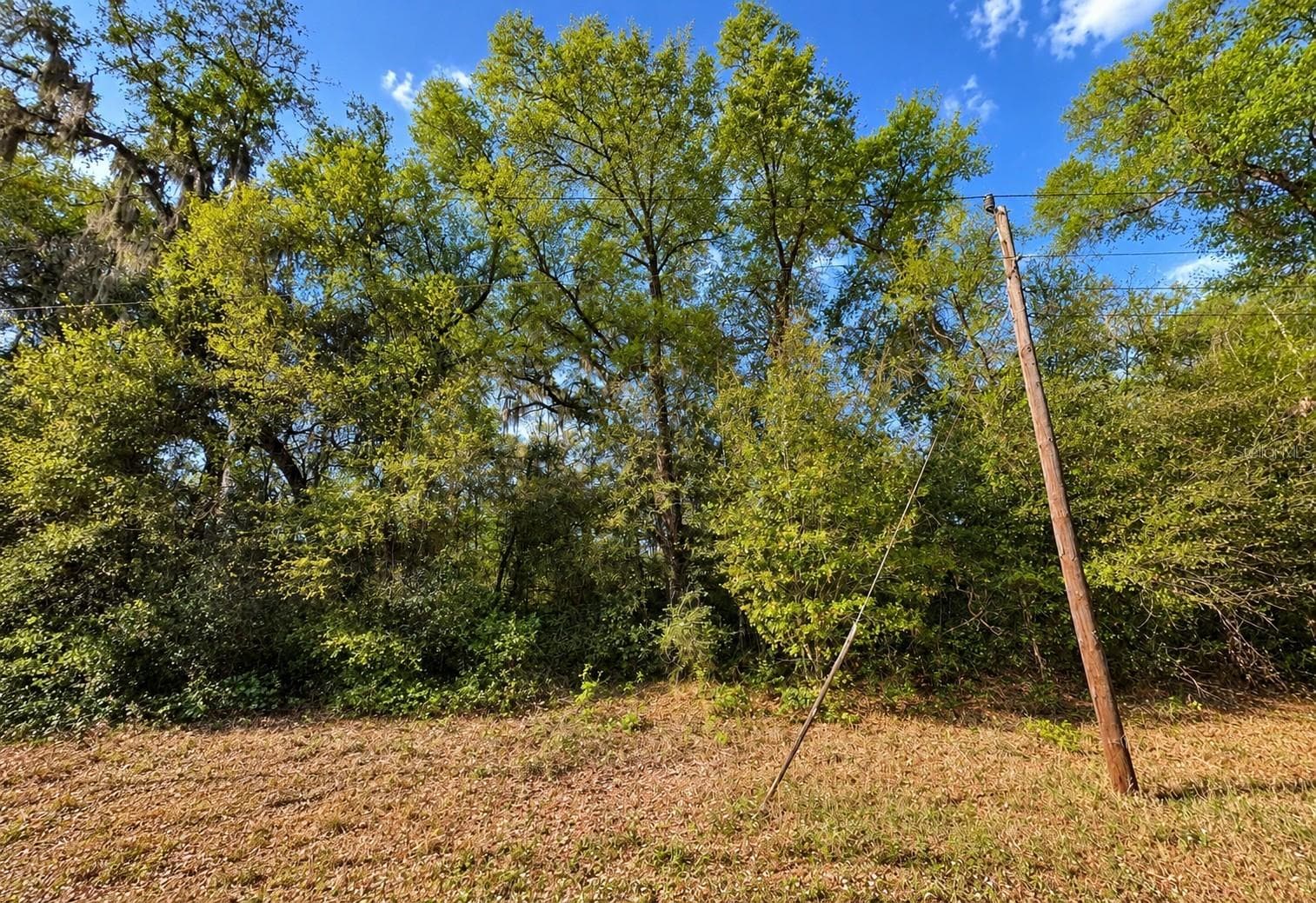 Land at 147 FISHERMANS DR, INTERLACHEN, photo 3 of 5