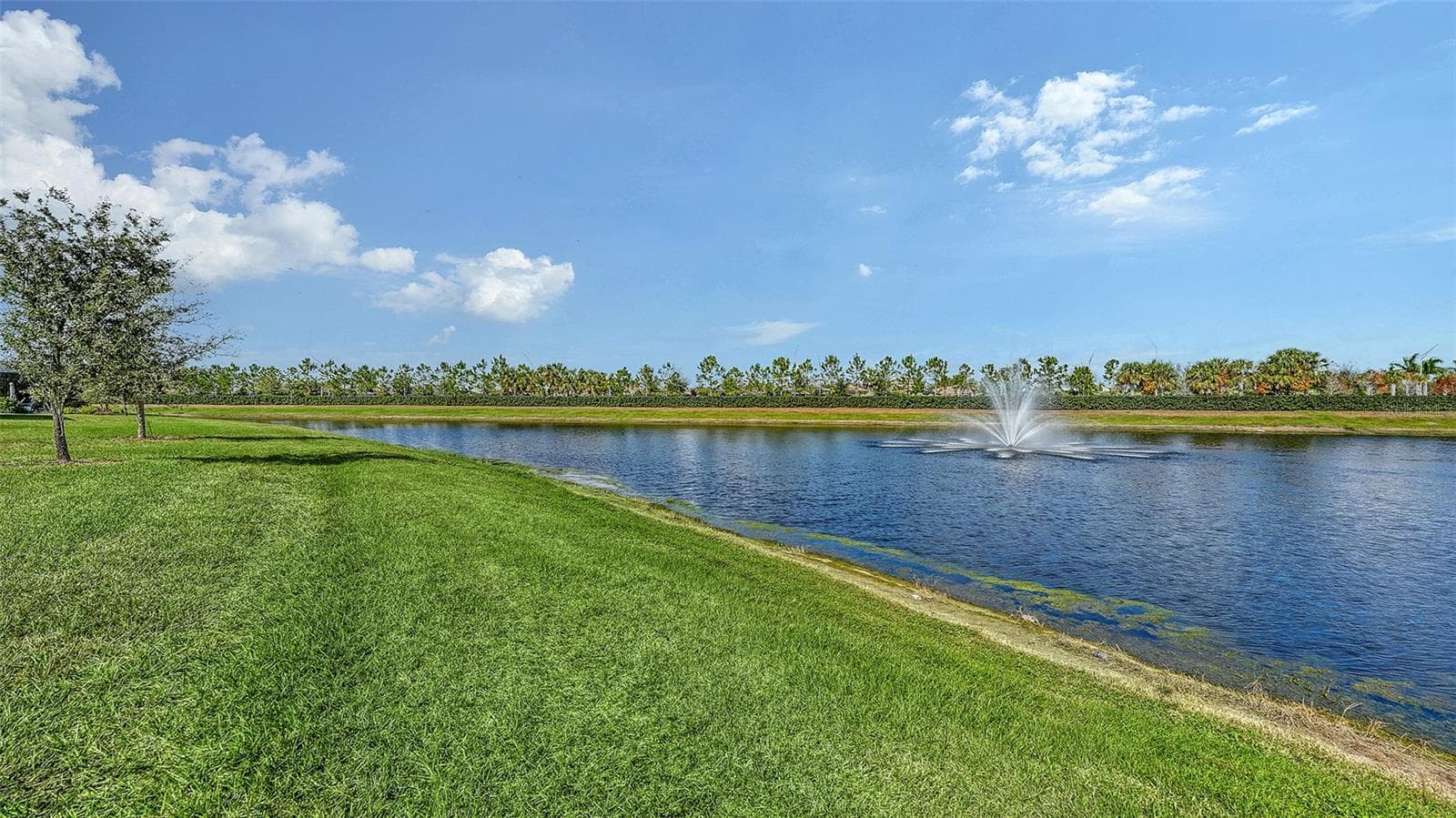 Single Family Residence at 17329 RESERVA DR, BRADENTON, photo 48 of 59