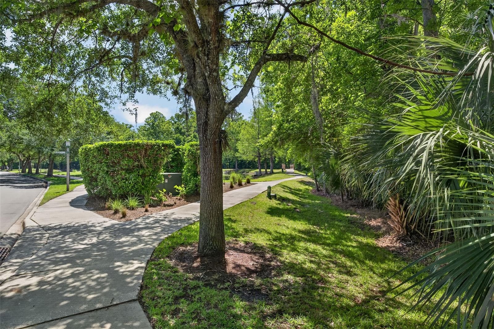 Conservation across the Street - 1003 OLD BLUSH RD, CELEBRATION