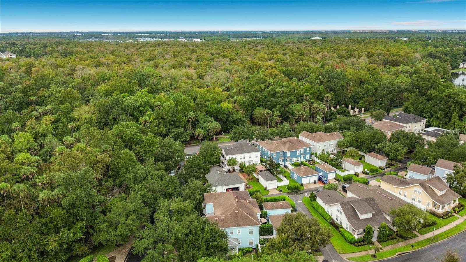 Peaceful and Quiet across from Conservation - 1003 OLD BLUSH RD, CELEBRATION
