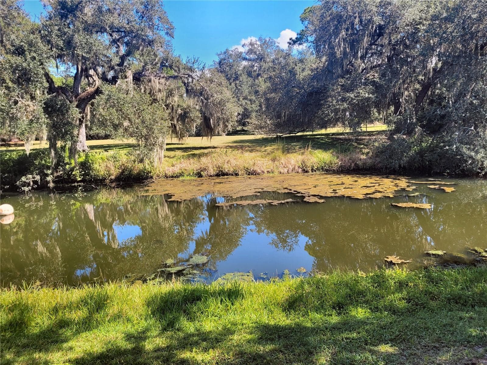 Lake - 4678 WILLOW WOOD CIR #38, SARASOTA
