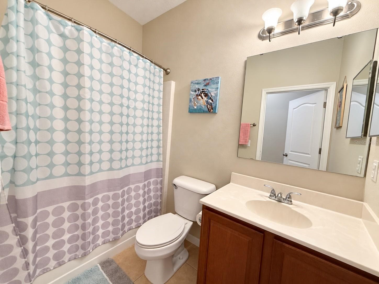 Guest Bathroom - 1812 EAGLE PINES CIR, EAGLE LAKE