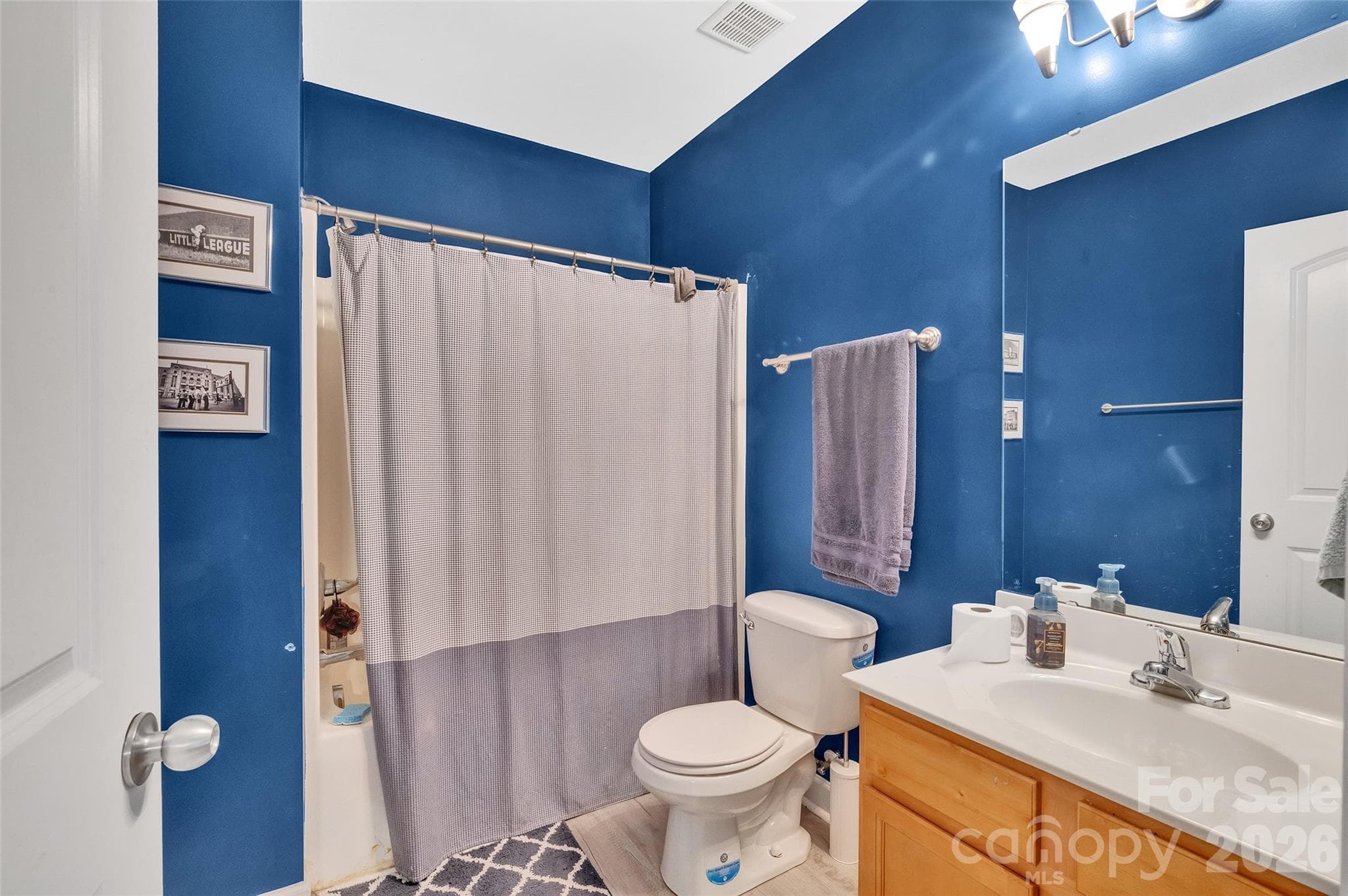 Lower Level Full Bath - 392 Lone Tree Lane, Clover