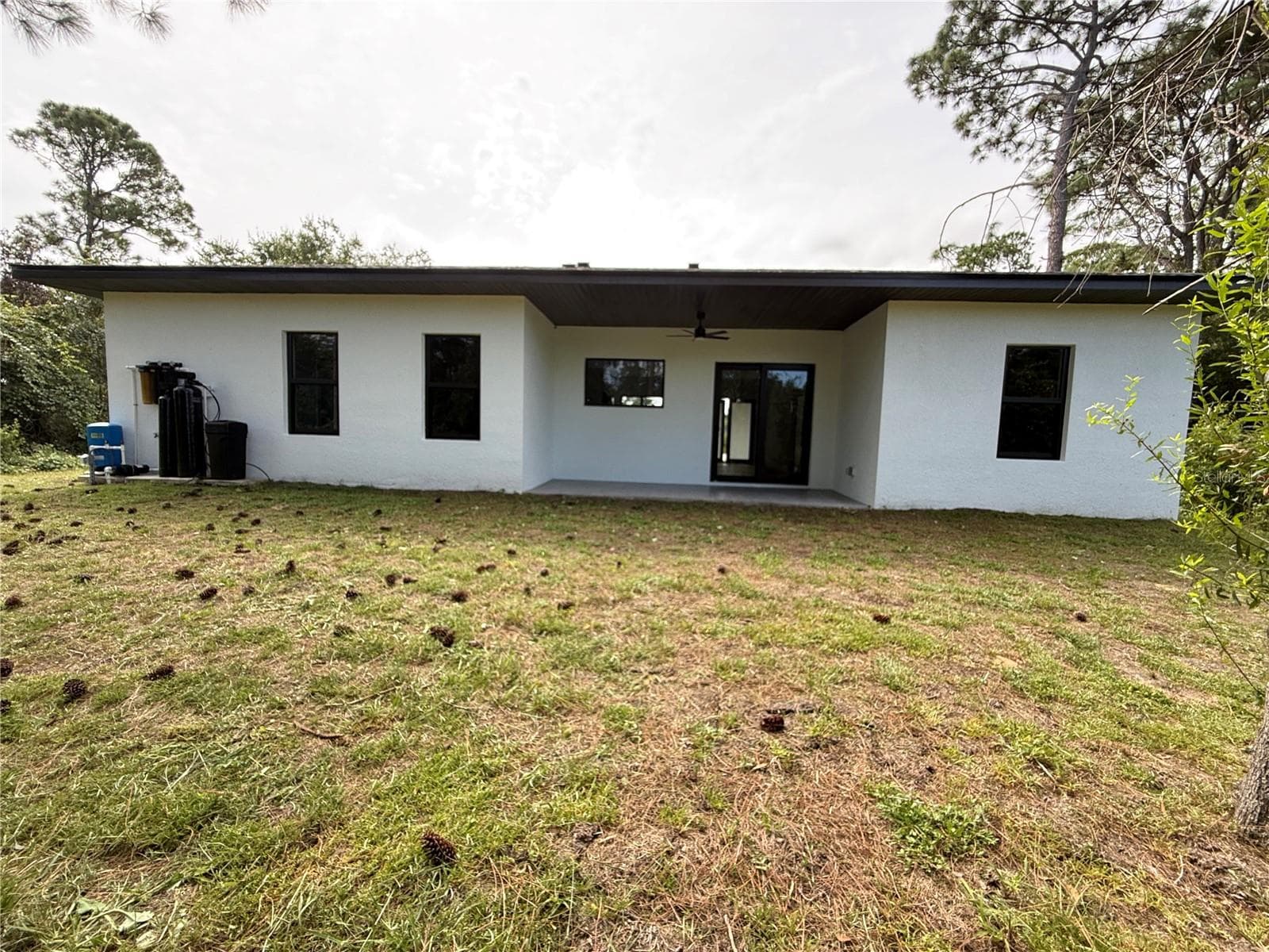 Backyard - 339 ROADRUNNER AVE, SEBRING