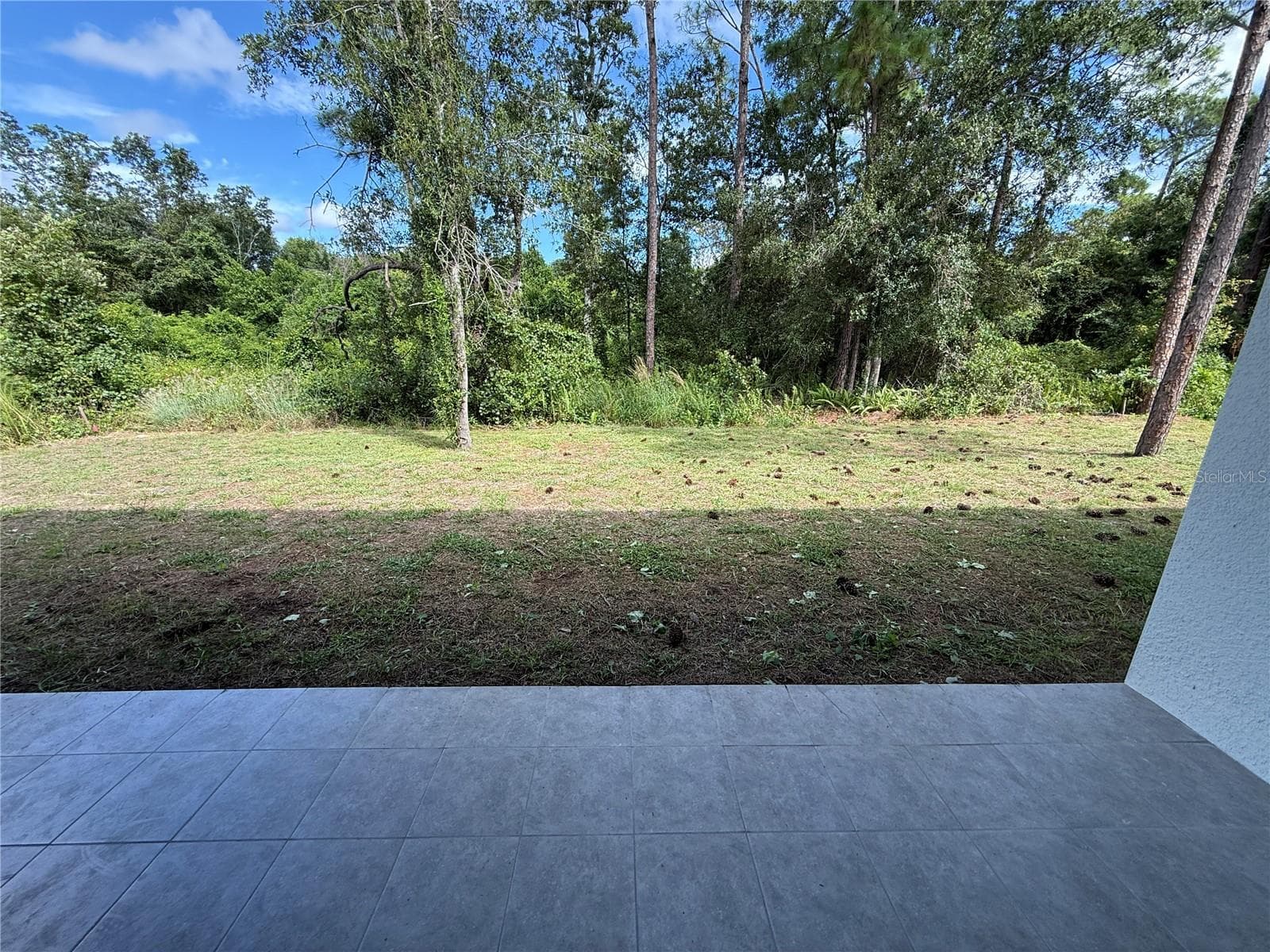 Back Lanai - 339 ROADRUNNER AVE, SEBRING