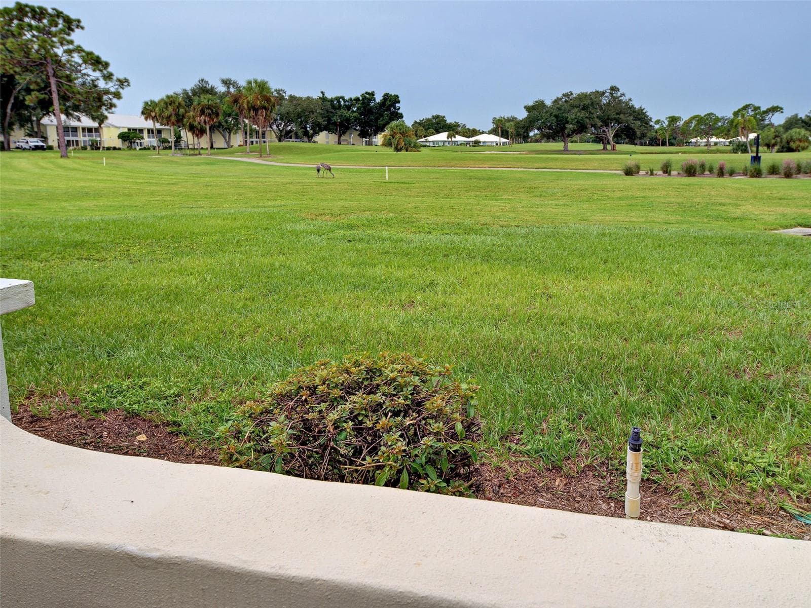 View from the patio - 435 CERROMAR LN #329, VENICE