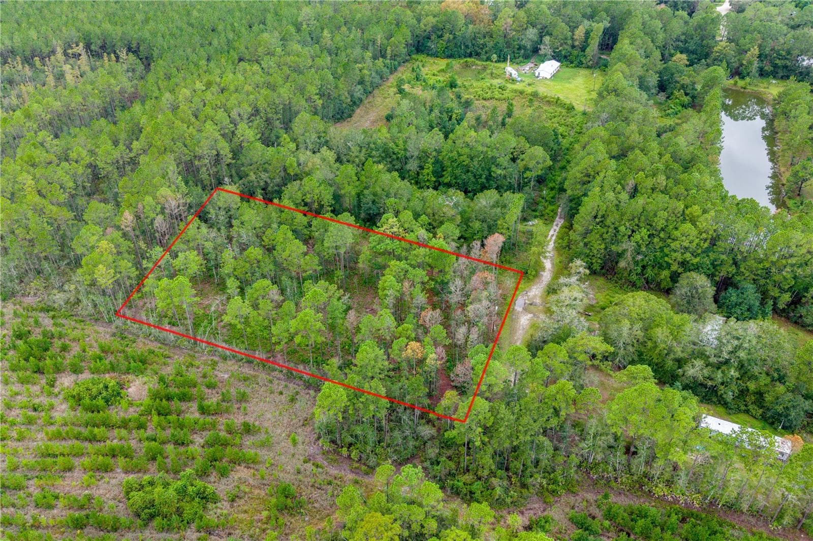Land at 0 SE 125TH ST, STARKE, photo 4 of 19