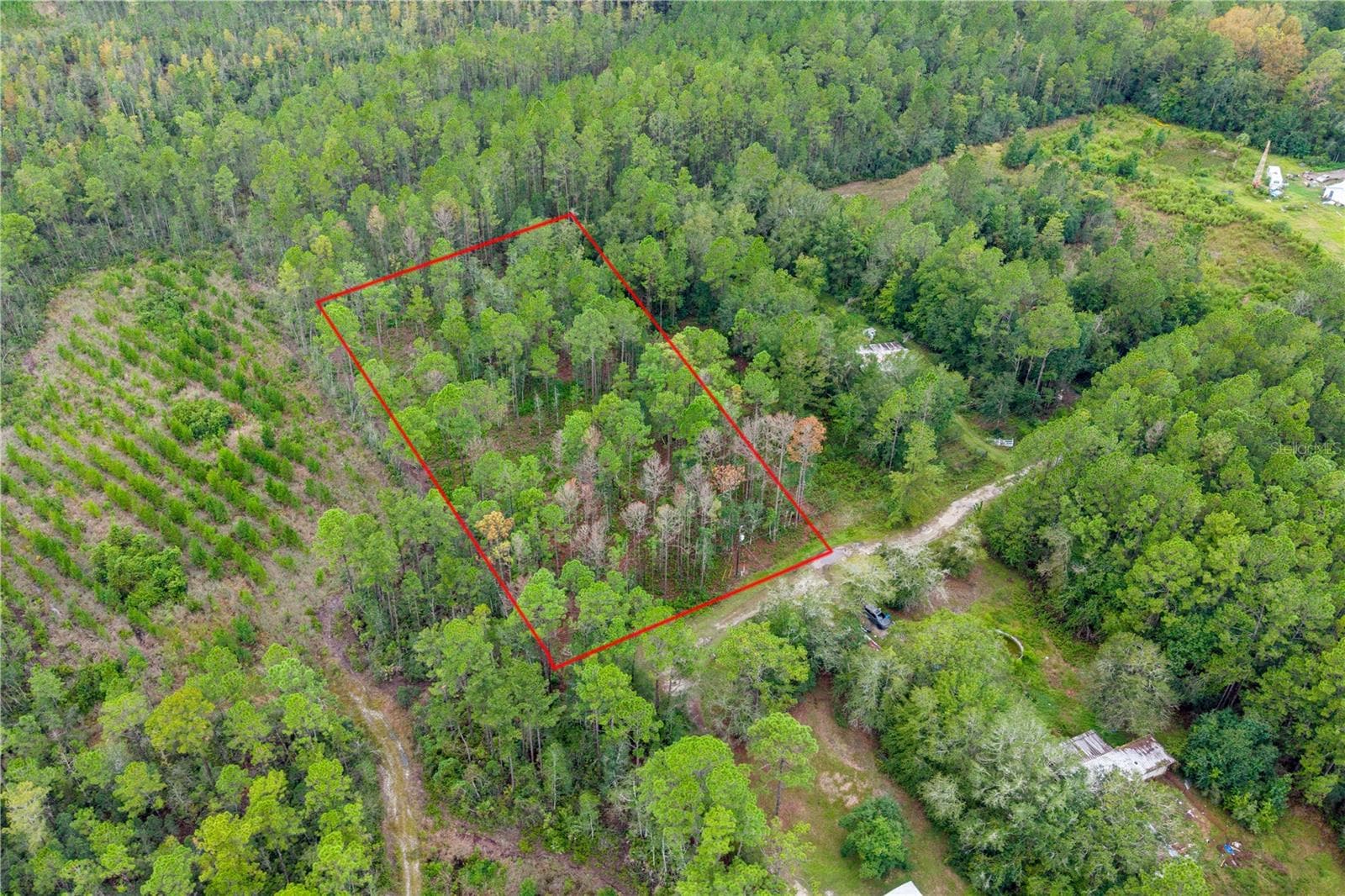 Land at 0 SE 125TH ST, STARKE, photo 5 of 19