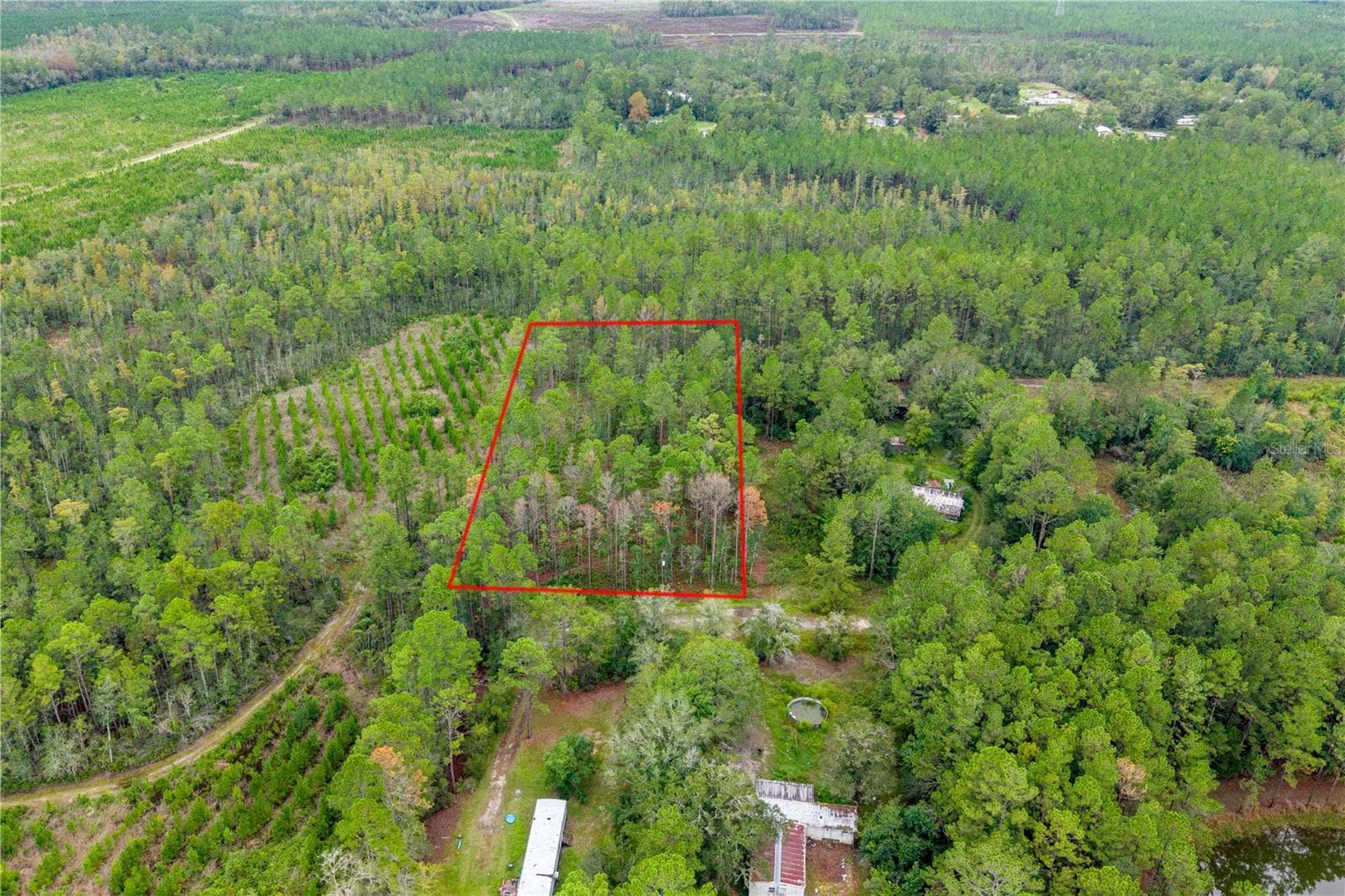 Land at 0 SE 125TH ST, STARKE, photo 7 of 19