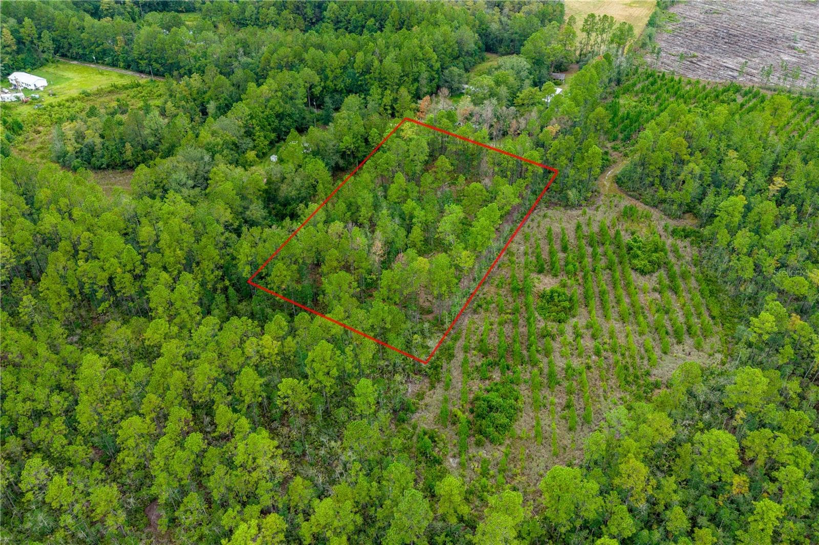 Land at 0 SE 125TH ST, STARKE, photo 9 of 19