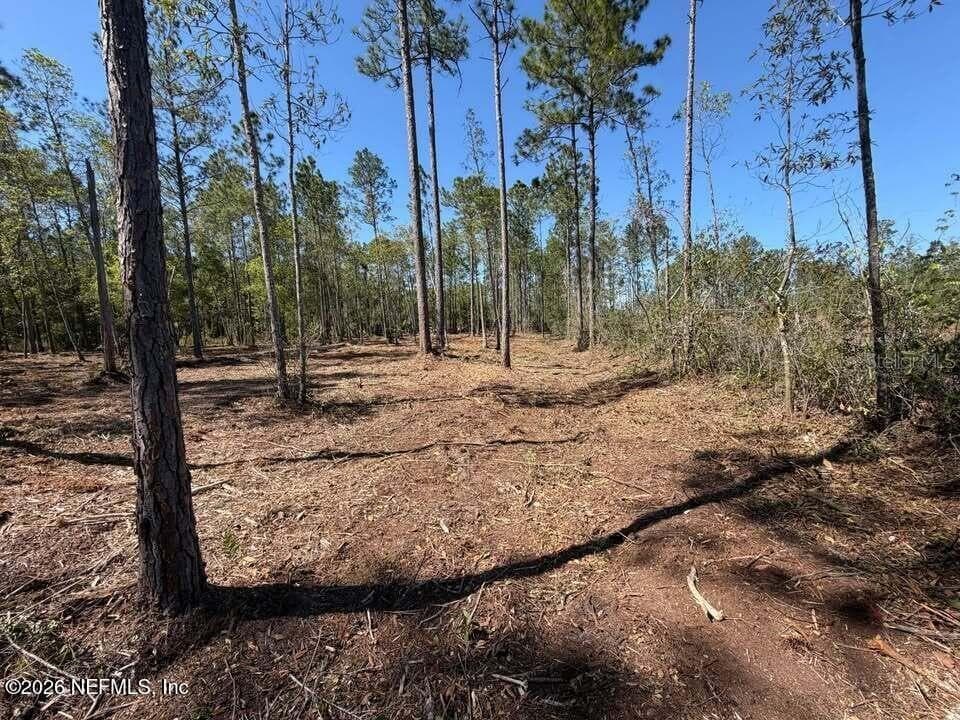 Land at 0 SE 125TH ST, STARKE, photo 10 of 19