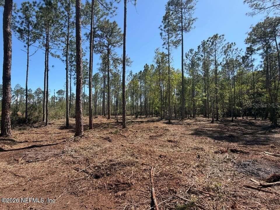 Land at 0 SE 125TH ST, STARKE, photo 11 of 19