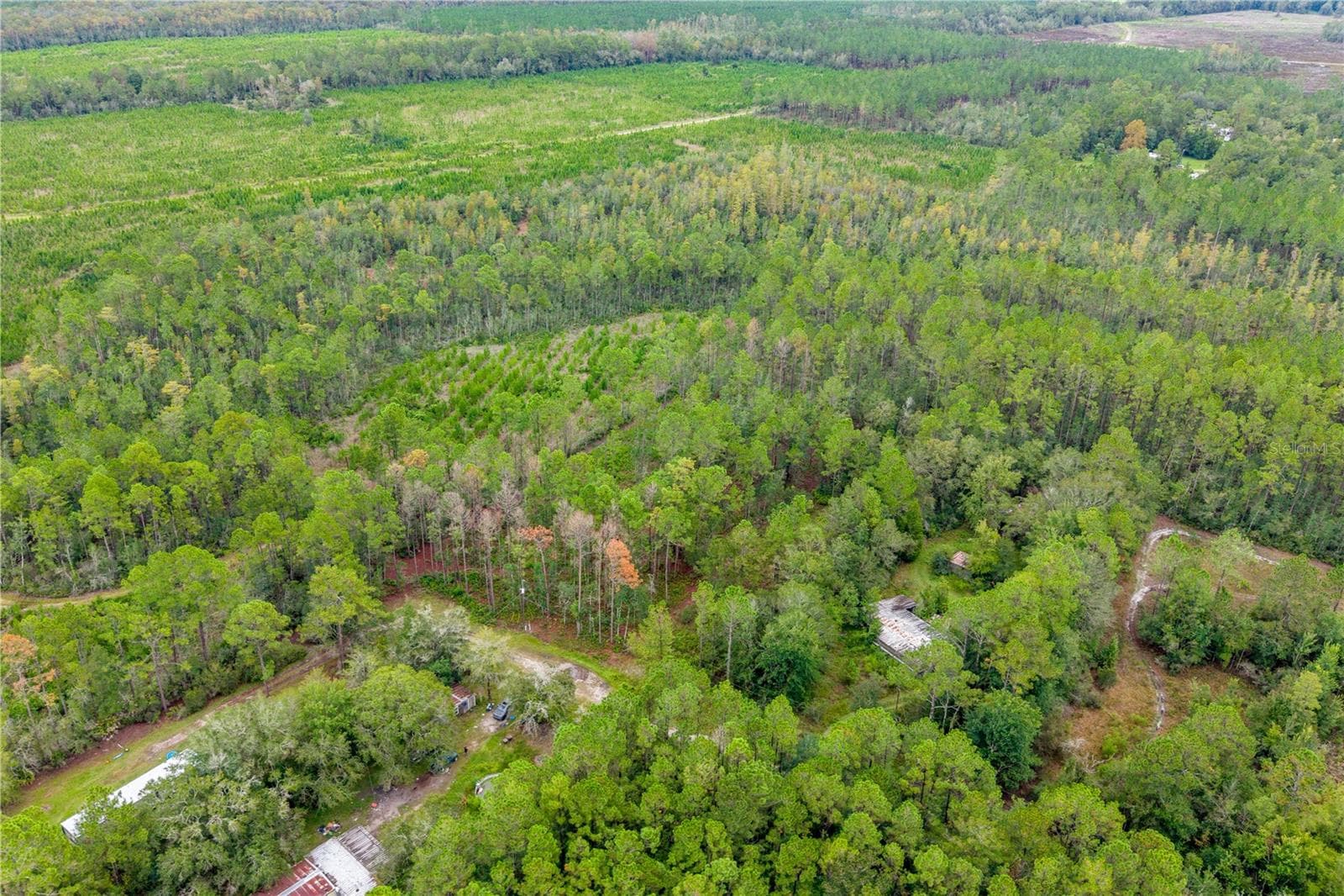 Land at 0 SE 125TH ST, STARKE, photo 17 of 19