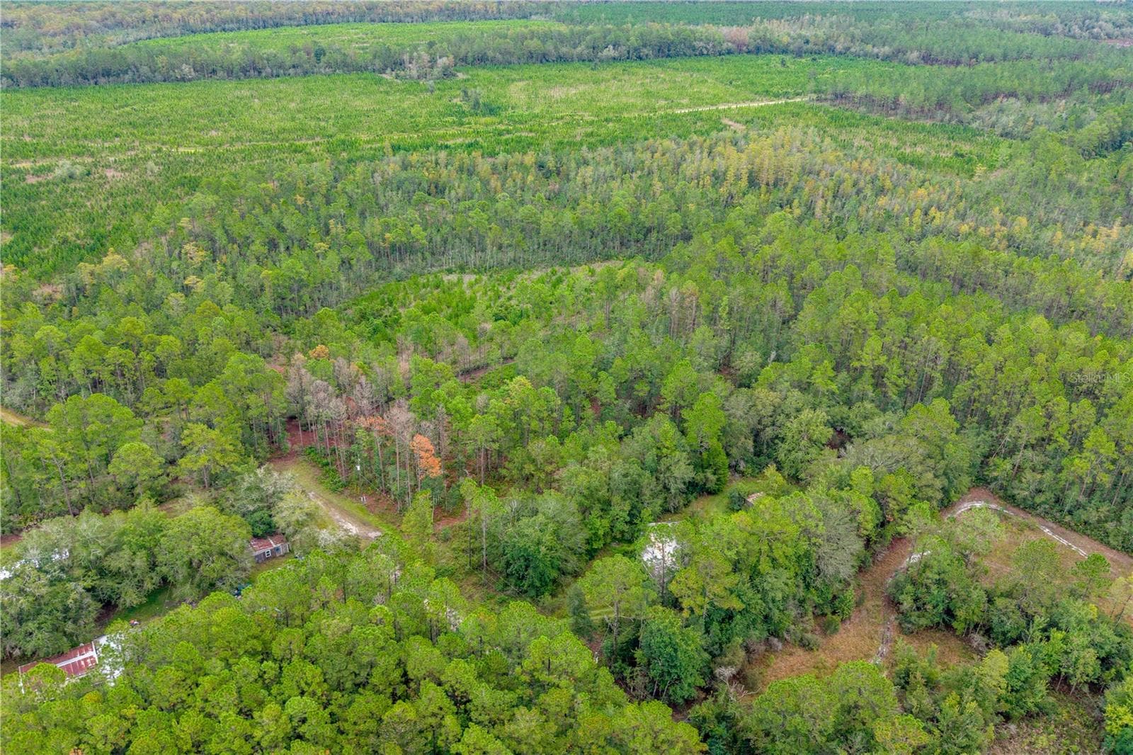 Land at 0 SE 125TH ST, STARKE, photo 18 of 19
