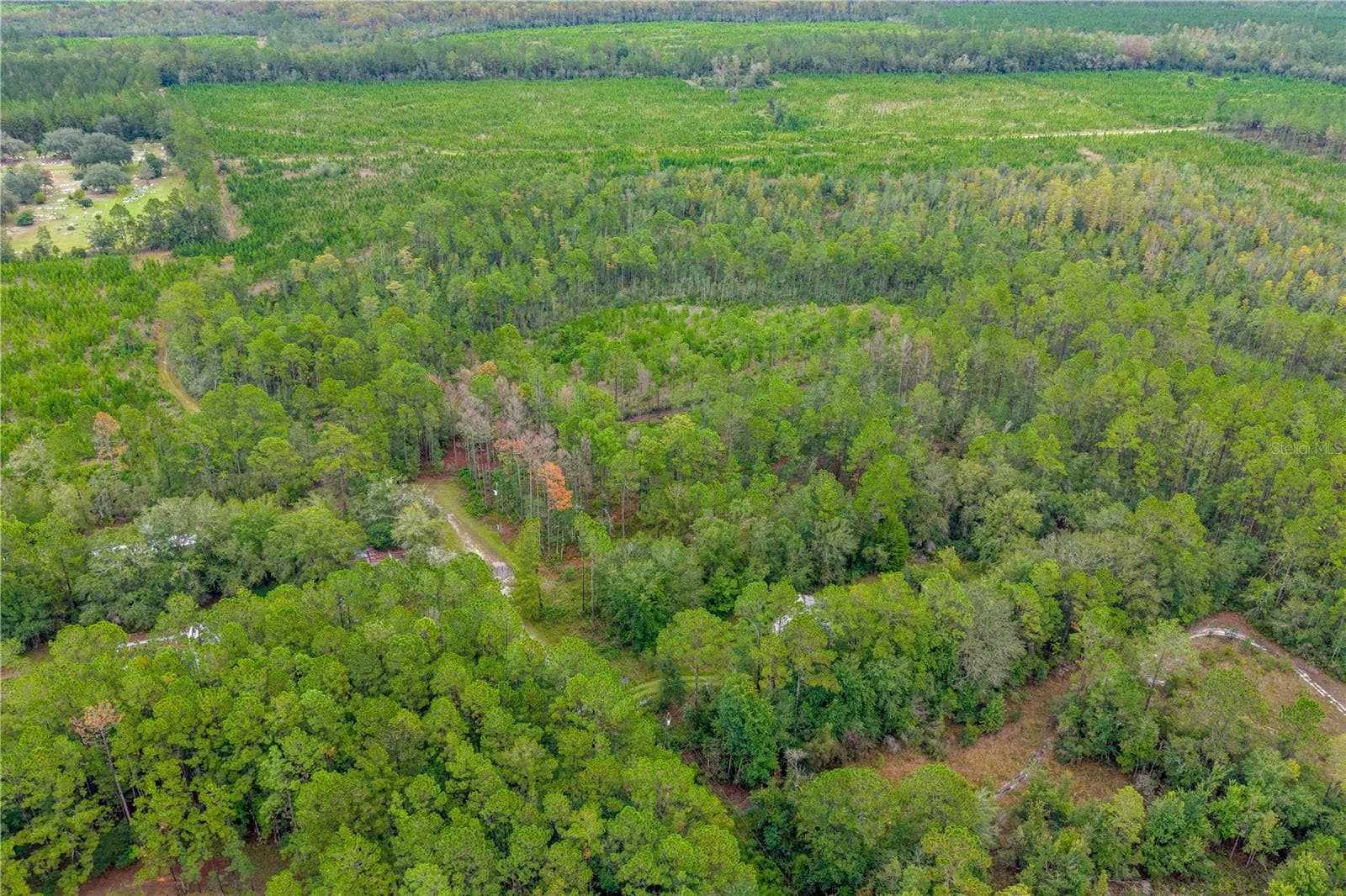 Land at 0 SE 125TH ST, STARKE, photo 19 of 19