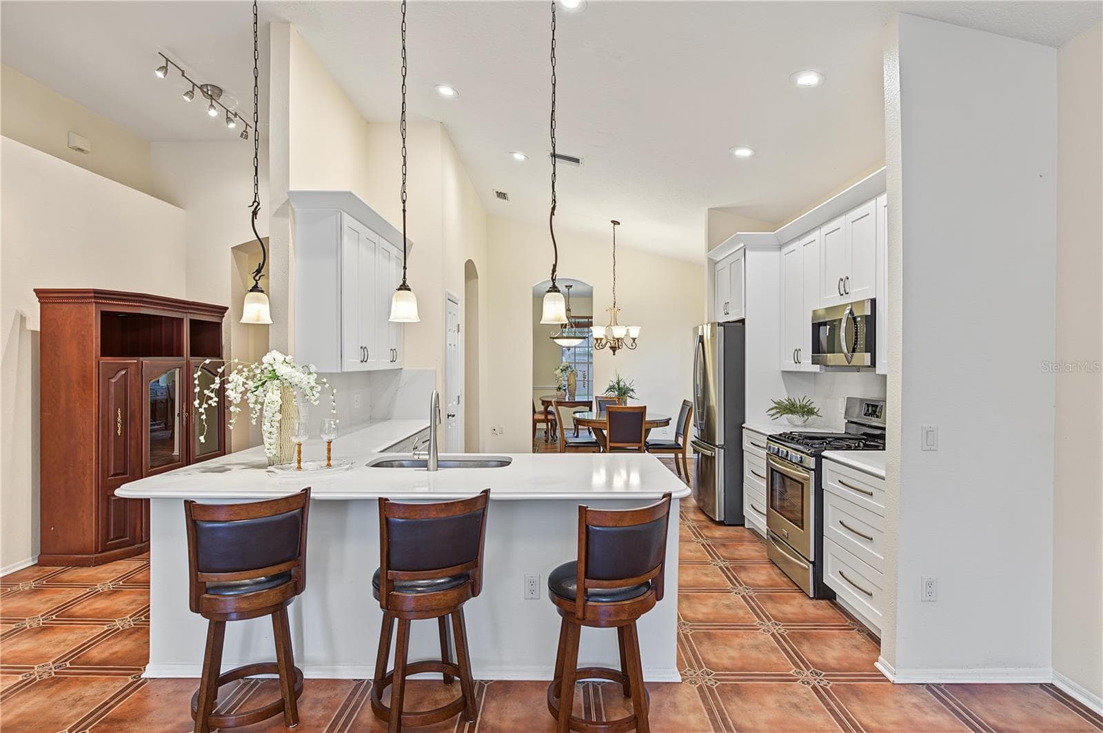 Recently updated Kitchen Cabinets and Appliances, Inset lights and drop down lights, pot drawers, soft close and more. - 8417 FENWICK AVE, TAMPA