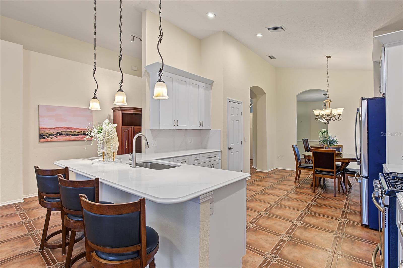 Recently updated Kitchen Cabinets and Appliances, Inset lights and drop down lights, pot drawers, soft close and more. - 8417 FENWICK AVE, TAMPA