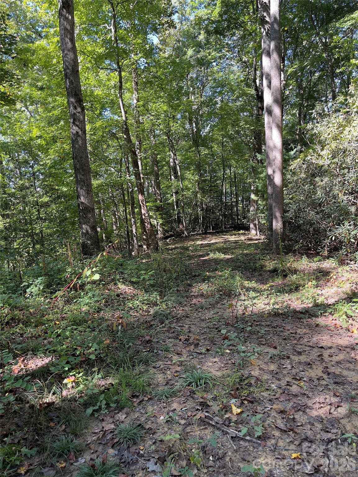 Acreage at Henderson, photo 6 of 63