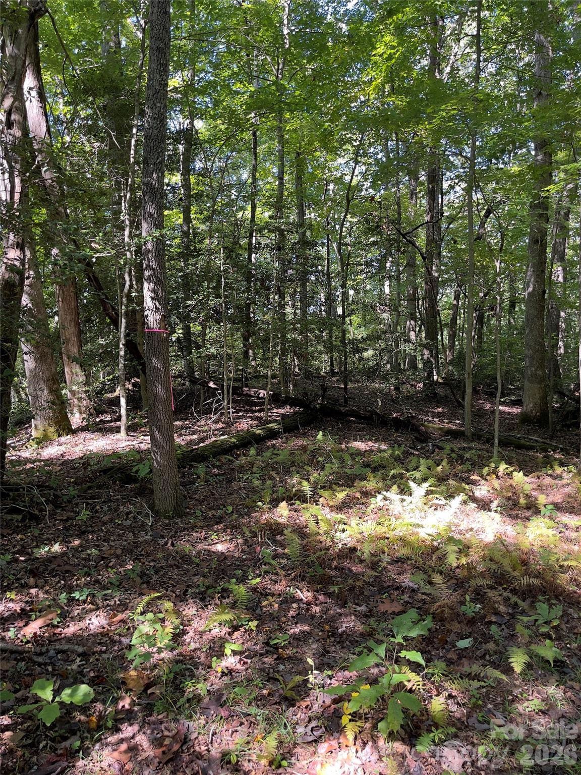 Acreage at Henderson, photo 8 of 63