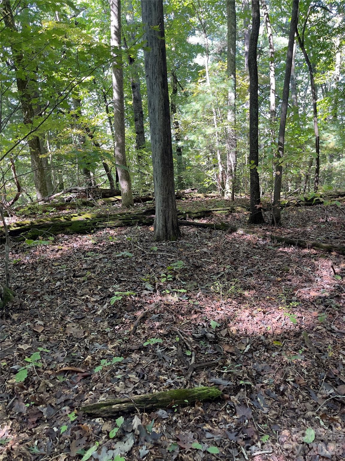 Acreage at Henderson, photo 10 of 63