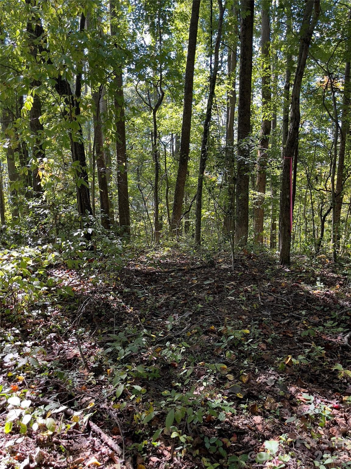 Acreage at Henderson, photo 12 of 63