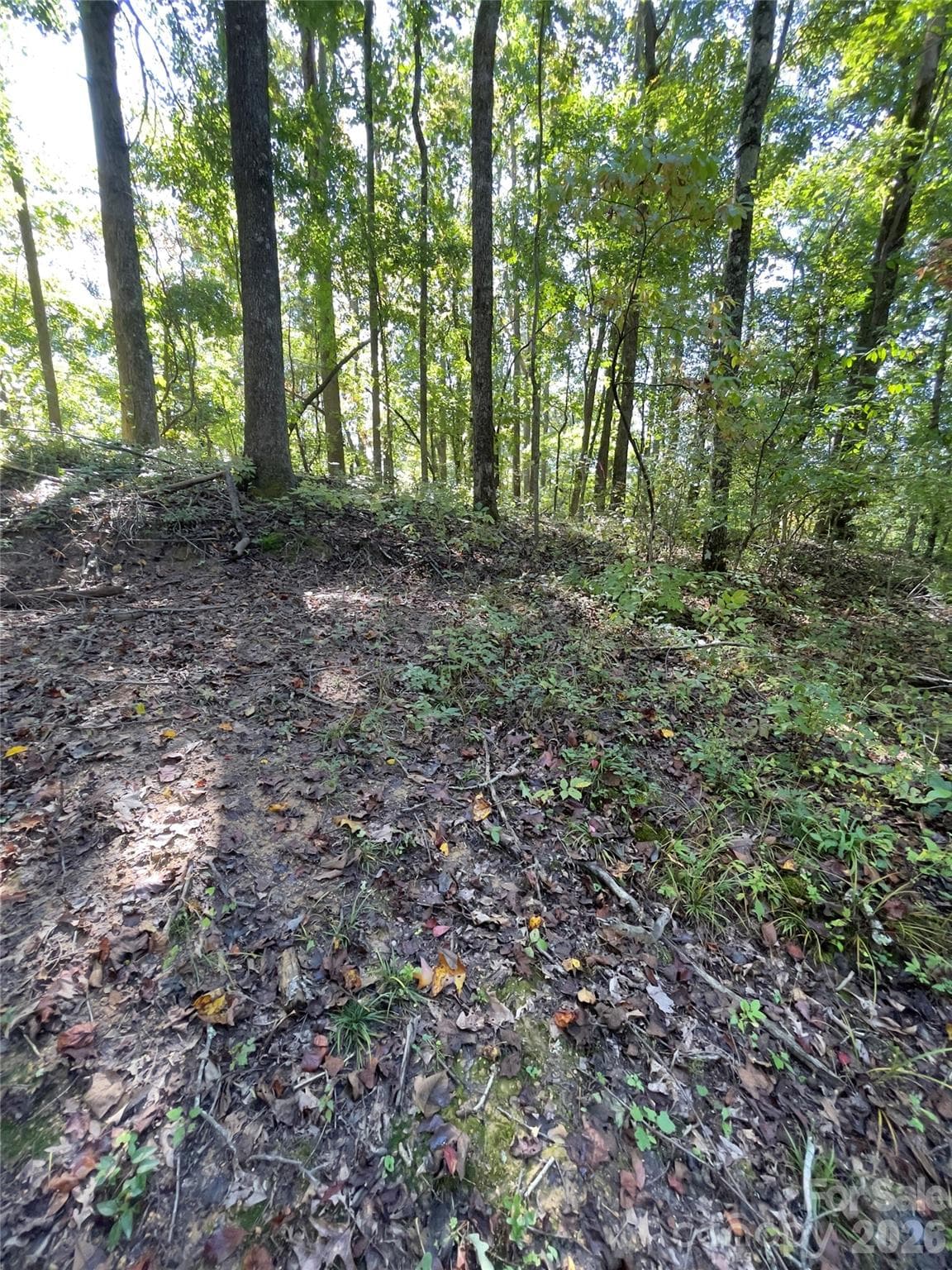 Acreage at Henderson, photo 14 of 63