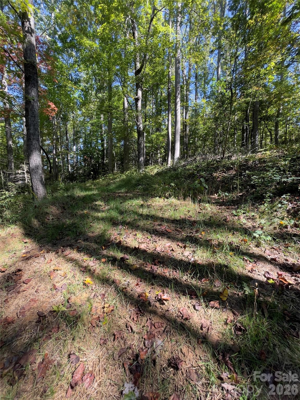 Acreage at Henderson, photo 26 of 63