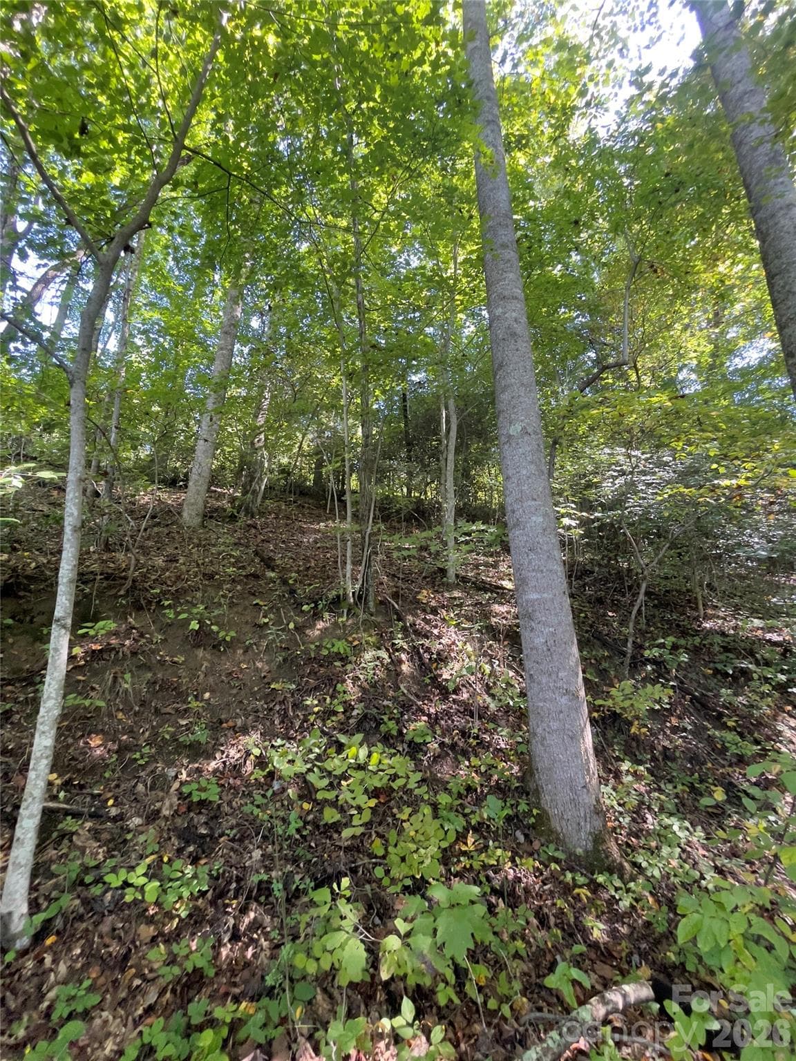 Acreage at Henderson, photo 52 of 63
