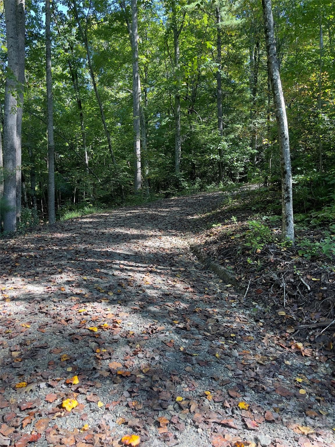 Acreage at Henderson, photo 54 of 63