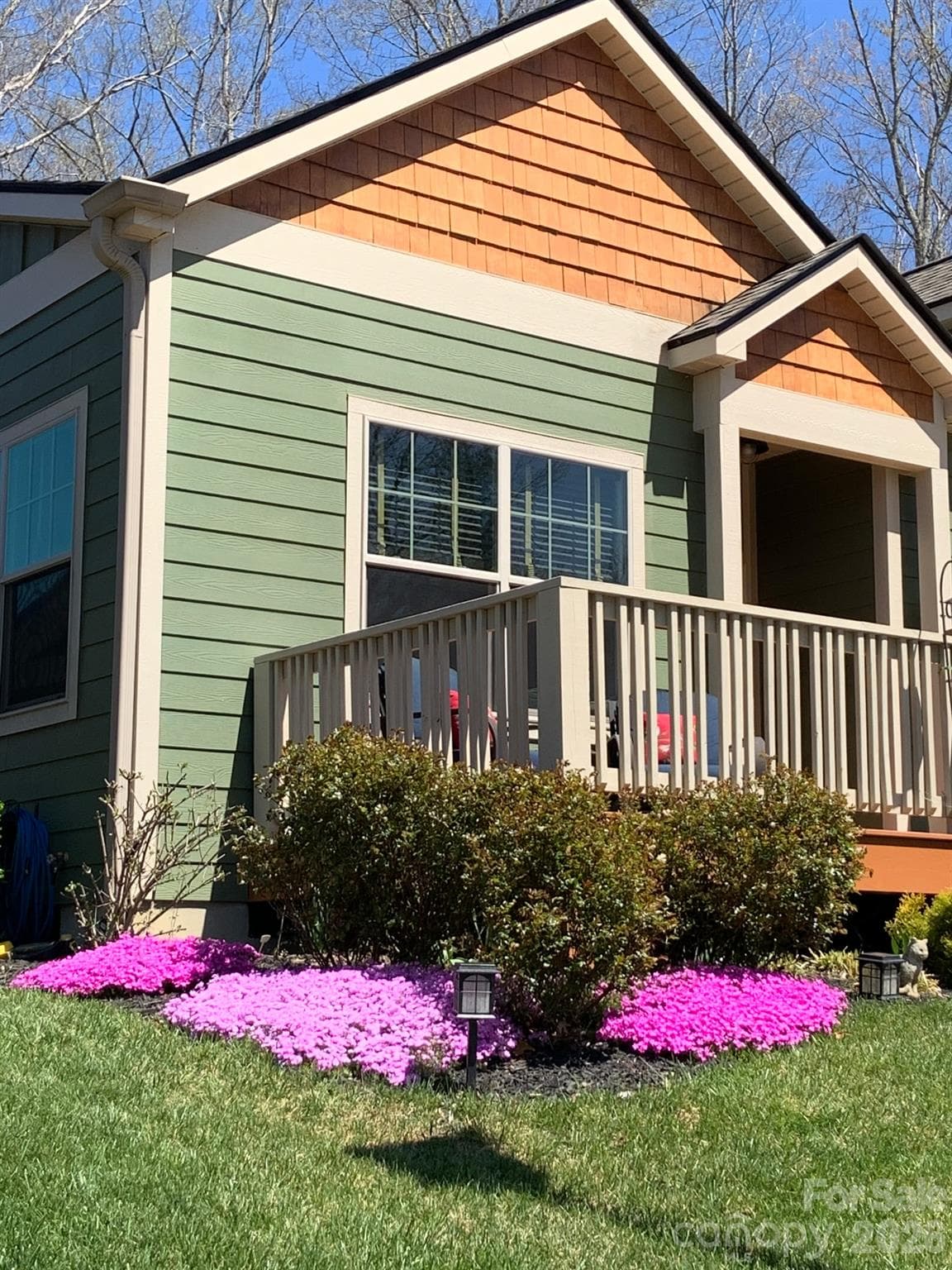 Early Spring carpet phlox - 10 Meeting Street, Asheville