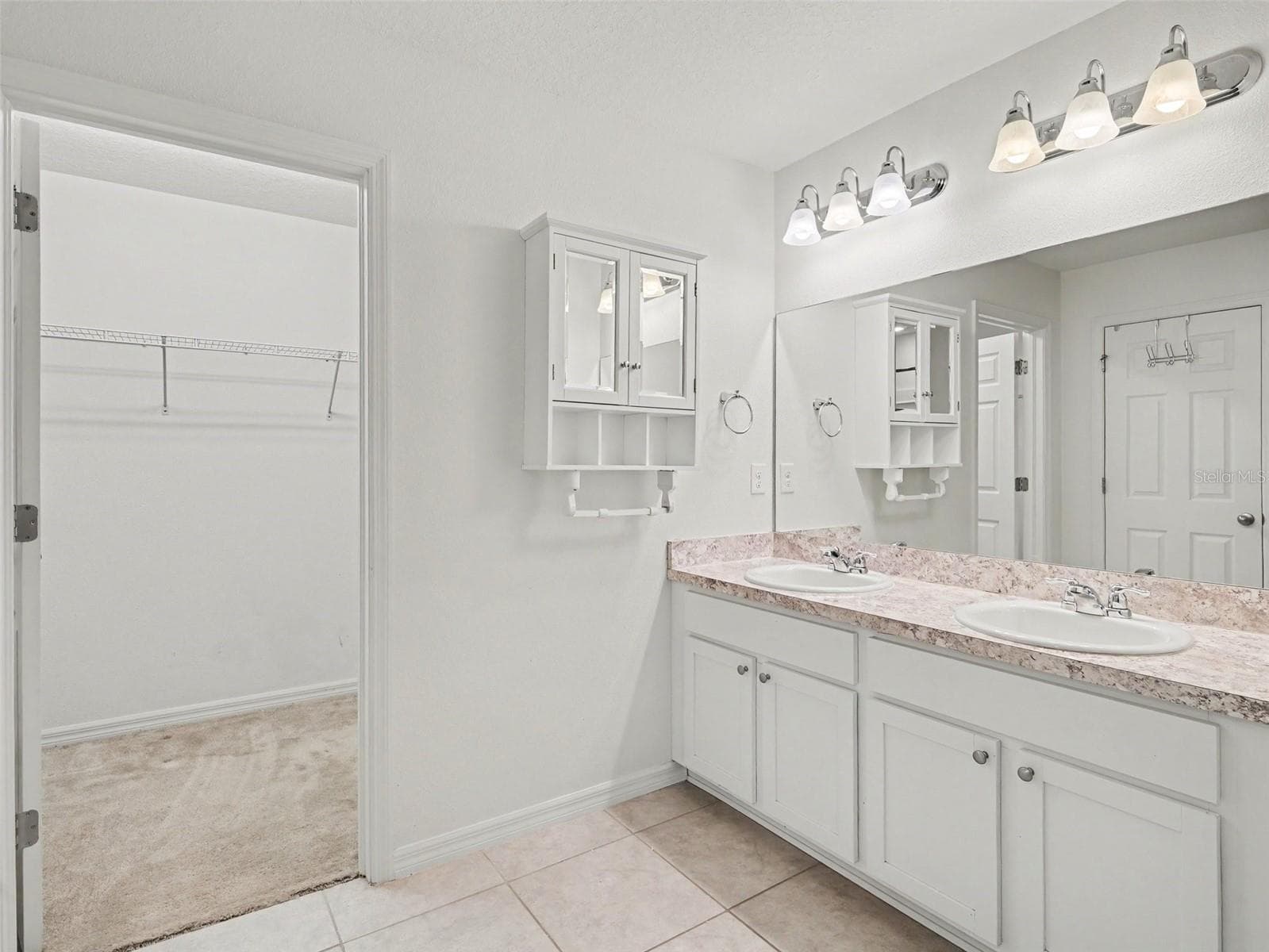 Single Family Residence at 10439 LAGUNA PLAINS DR, RIVERVIEW, photo 30 of 53