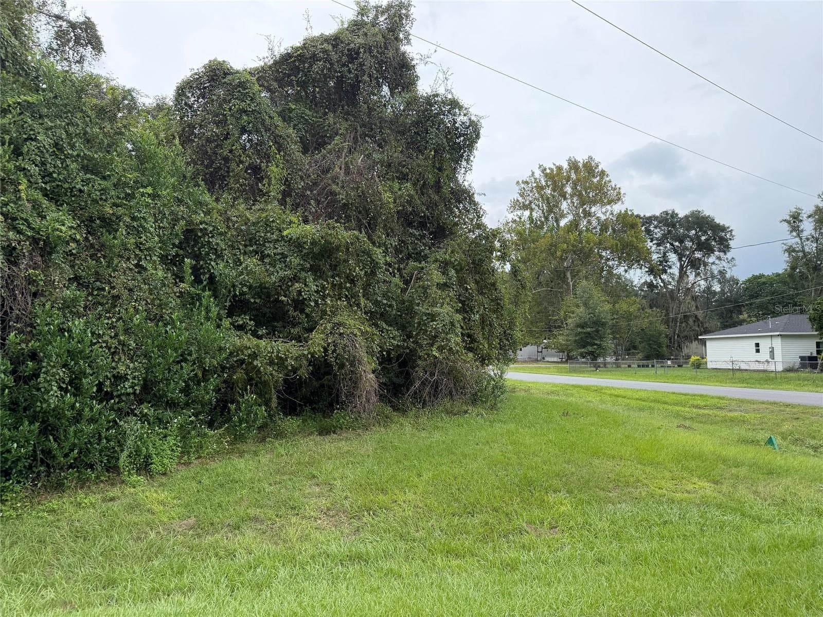 Land at 4928 SW 64TH ST, GAINESVILLE, photo 2 of 5