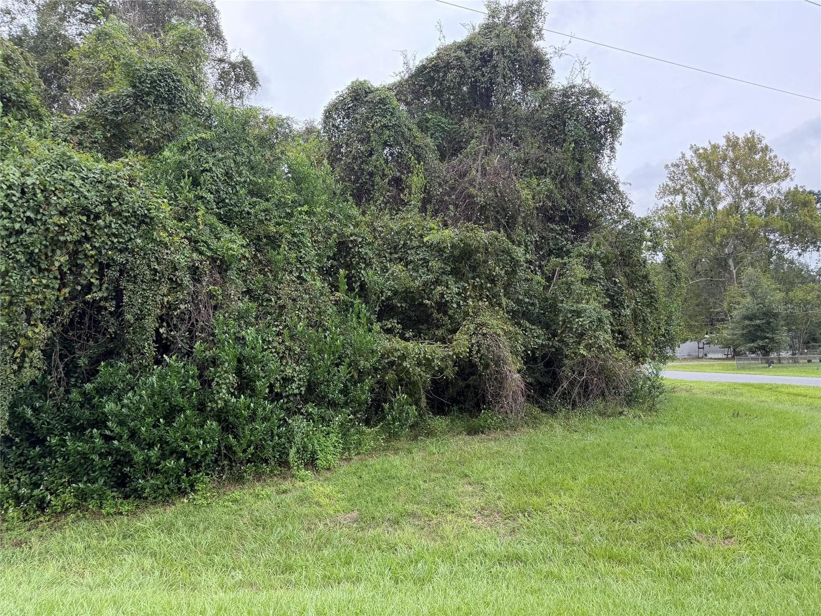 Land at 4928 SW 64TH ST, GAINESVILLE, photo 5 of 5
