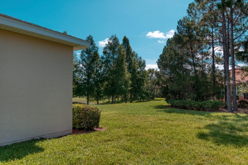 CONSERVATION View - 3432 FALLBROOK DR, POINCIANA